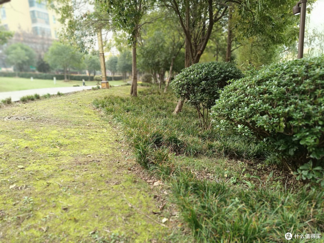 秋日实测跑乡道!巡弋250真实骑行体验,代步漫游太舒服