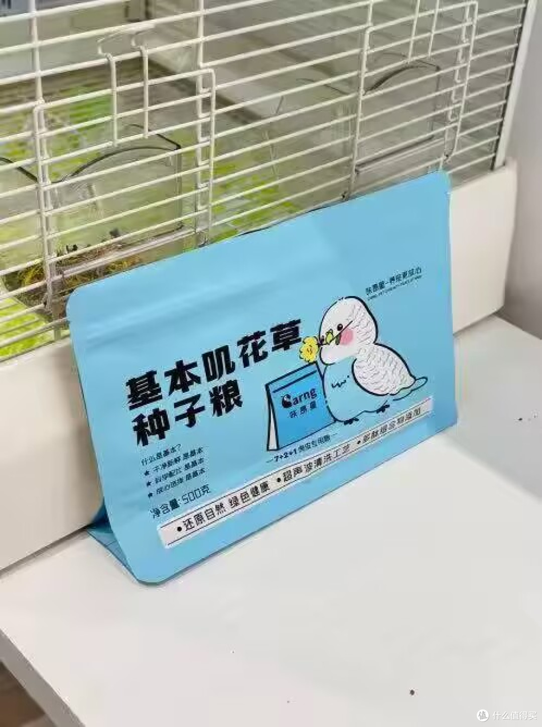 想把鸟宝养得圆滚滚、羽毛发亮的鸟友看这里✨