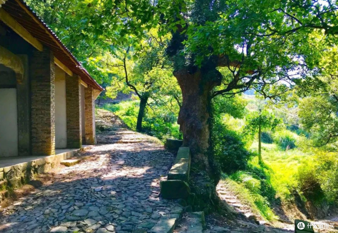 徒步白革古道赏秋色,探索文化古迹之旅