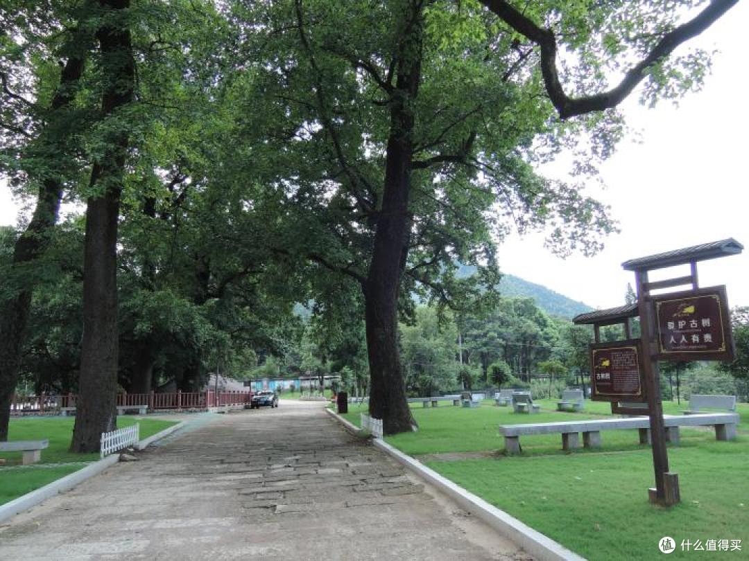 徒步白革古道赏秋色,探索文化古迹之旅
