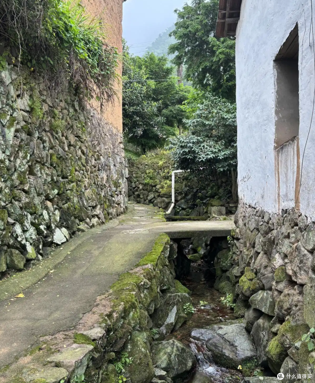 徒步白革古道赏秋色,探索文化古迹之旅
