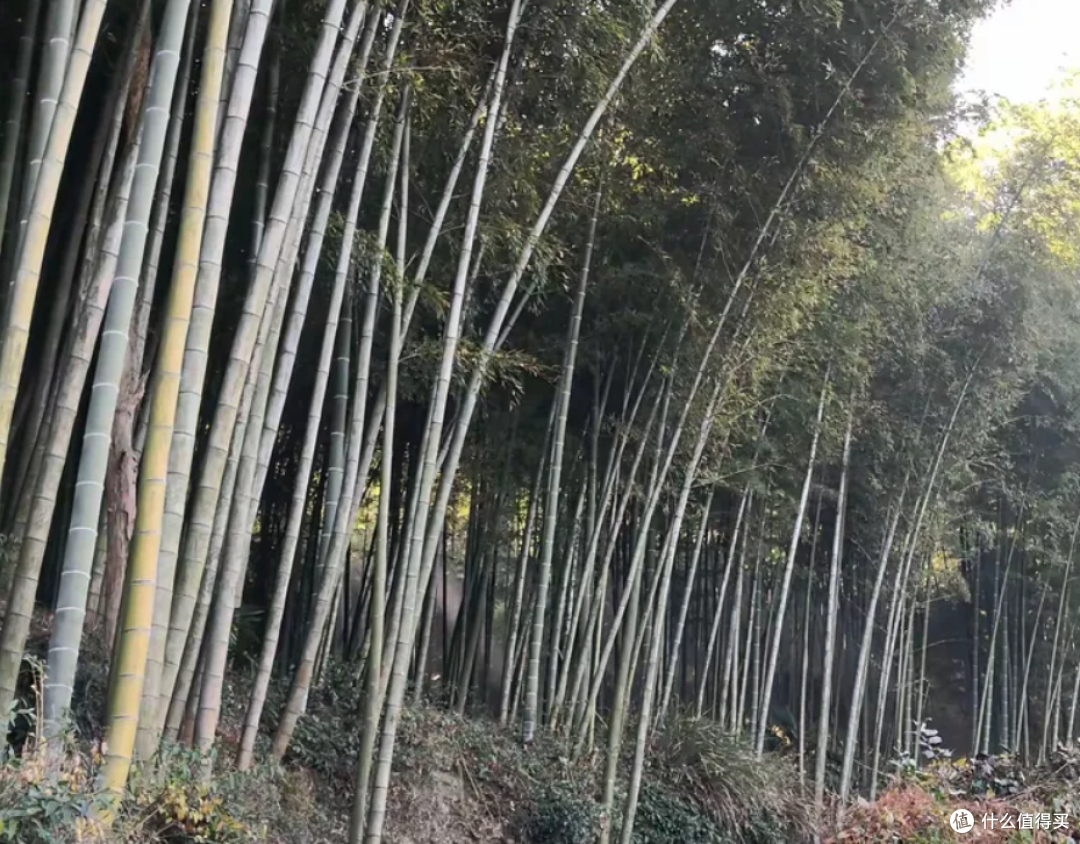 徒步白革古道赏秋色,探索文化古迹之旅